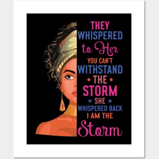 I  am the Storm Posters and Art